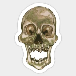 Skull - Decay and Rot Sticker